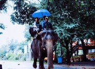 TOUR 3N2Đ KHÁM PHÁ BUÔN MÊ - LỬA TRẠI - THƯỞNG THỨC ĐẶC SẢN NÚI RỪNG