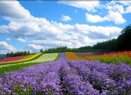 TOUR ĐÀ LẠT 3 NGÀY 2 ĐÊM