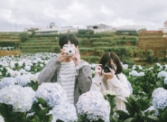 TOUR DU LỊCH ĐÀ LẠT 3N3Đ